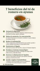 7 Beneficios del té de romero en ayunas | Viajeros Perú | Facebook
