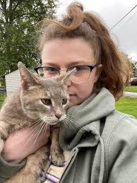 is anyone missing a gray cat with a pink collar in defiance county?