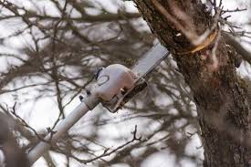 It will allow you to work with your feet on the ground rather than balanced precariously on a ladder. The 25 Best Pole Saws Of 2021 Family Living Today