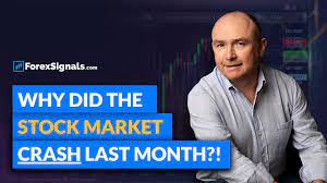 Is it true that a mathematical forecast devise caused a market crash??? The 2018 Stock Market Crash What Caused It And How Should You Invest Youtube