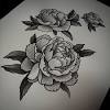 See more ideas about peonies, flowers, peony flower. 1