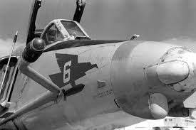 Image result for Maigruen 1982 Fleet