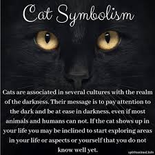 Cat Spirit Animal Cat Spirit Cat Spirit Animal Animal Totem Spirit Guides
