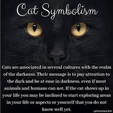 Cats are very treasured animals. Cat Spirit Animal Cat Spirit Cat Spirit Animal Animal Totem Spirit Guides