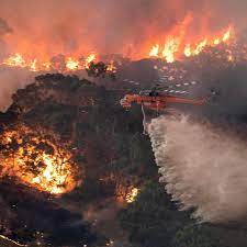 Australian Bush Fires Elvis Bombing The Fires Bushfires In Australia Australia Climate Change