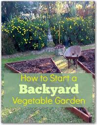 How To Start A Backyard Vegetable Garden Backyard Vegetable Gardens Garden Layout Vegetable Starting A Vegetable Garden