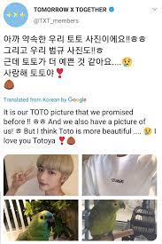 BEOMGYU《TWITTER》Toto is very pretty 😊💕 | TXT (투모로우바이투게더) Amino