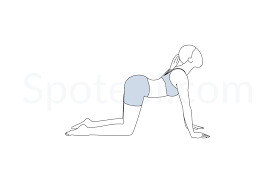 Inhale as you drop your belly and lift your gaze and your tail bone towards the sky. Cow Pose Bitilasana