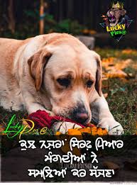 We did not find results for: Punjabi Romantic Graphics Images For Facebook Whatsapp Twitter