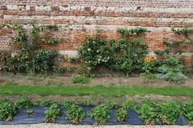 Jardines Comestibles Les Jardins De La Chartreuse Diseno Exterior Decoracion De Exteriores