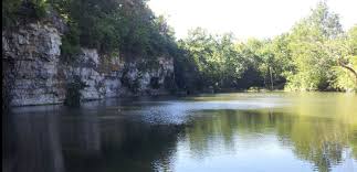 Staff Directory • Tim Broyles