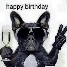 Happy Birthday Wishes In French Female Funny Happy Birthday Pictures Images Pics Quotes Wishes More At Http Factoflif Funny Happy Birthday Pictures Happy Birthday Pictures Happy Birthday Meme