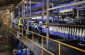 Cost of living in malaysia crime in malaysia climate in malaysia food prices in malaysia gas prices in malaysia health care in malaysia pollution in. Lower Natural Gas Price A Further Boon For Glove Sector
