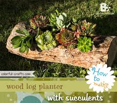 Diy How To Make A Wood Log Planter For Your Garden Great And Easy Tutorial For Rustic Garden Ideas Use Succ Pflanzen Hauswurz Pflanzen Bepflanzter Holzblock