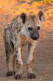 Pin On Nature Is Awesome