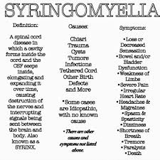 Syringomyelia Chiari Malformation Neurological Disorders Ehlers Danlos Syndrome