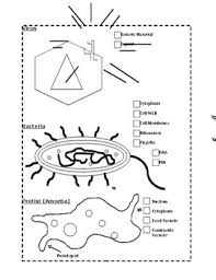 Read the paragraph and answer the questions. Protists Coloring Page Worksheets Teaching Resources Tpt