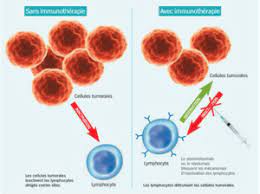 Il y a des effets secondaires et parfois même des effets secondaires graves. Immunotherapie Dans Le Cancer Du Poumon Evaluation A 5 Ans Hopital Fr Federation Hospitaliere De France