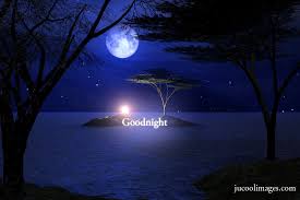 Hd 0:33tree summer light leaf. The Cutest Good Night Gif Images And Pictures Free