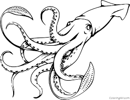 Many objects can be used as coloring objects, ranging from animals, plants, events, cartoon characters to … Squid Coloring Pages Coloringall
