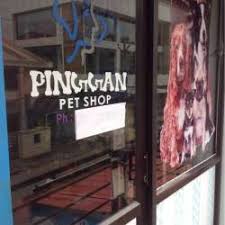 Usda licensed commercial breeders account for less than 20% of all breeders in the country. Top Pet Shops For German Shepherd Dog In Palakkad Fort Best German Shepherd Dog Dealers Palakkad Justdial