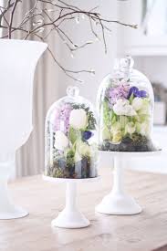 Mine start to pop open in the cooler hours of. A Floral Spring Oasis Monika Hibbs