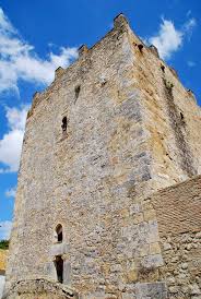 Castillo De Gigonza En S Jose Del Valle Y 7 Castillos Espana Cadiz
