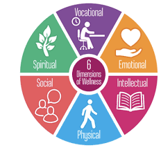 The social dimension of education is a concept that aims to remove inequalities that limit access to higher education under the european area of higher edu the social dimension of education is a concept that aims to remove inequalities that. The Dimensions Of Wellness Manna Project International