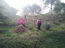 Cara membuat pupuk kompos dari limbah rumah tangga, mengolah limbah rumah tangga, cara mengolah sampah rumah. Program Sekolah Rakan Alam Sekitar Serasi Baja Kompos