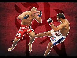 The dutch midfielder has pulled a leg muscle, while the masia teenager has a fractured jawbone. Jose Aldo S Destructive Leg Kicks Youtube