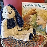 The Velveteen Rabbit: Williams, Margery, Berg, Maria: 9781600251245:  Amazon.com: Books
