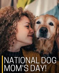 Today, we are celebrating all the dog moms!