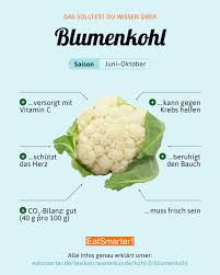 Das Solltest Du Uber Blumenkohl Wissen Rezepte Mit Blumenkohl Blumenkohl Eiweissreiches Gemuse