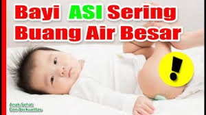 Sesudah mereka mencapai usia 6 minggu, bayi anda mungkin tidak akan membuang air langsung dalam satu hari dan ini juga adalah perkara normal. Bayi Asi Sering Buang Air Besar Normalkah Youtube