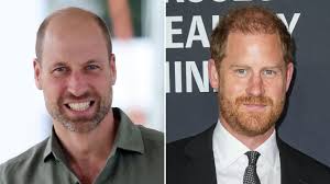 Royal Fears About Prince William's Helicopter Use Are Connected to Harry