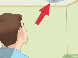 Hinter dem holz eher gesagt. Schimmel Von Der Decke Entfernen Mit Bildern Wikihow