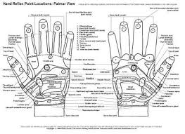 Reflexology Charts For Student Study And Practitioner