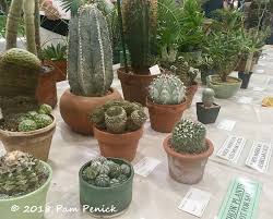 A home for manifesting dreams and sourcing culture. Today Is The Last Day Of Cactus And Succulent Sale At Zilker Garden Digging