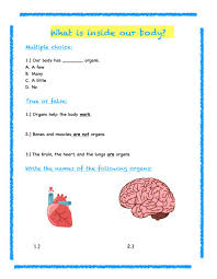 We will continue to add worksheets for all of. 3rd Grade Science Review Worksheet