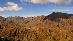 Image result for Blainvillea gayana