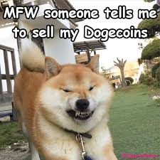 Find the best doge wallpaper on wallpapertag. Dogecoin Memes On Twitter Dogecoin Memes Crypto Cryptocurrency Doge Tothemoon Wow Moonsoon Dogecoinmoon Hodl Neversell Angryshibe Mfw Https T Co Pzwknijxq9