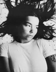 Bjork State Of Emergency Image Detail For Bjork Hot Group Picture Image By Tag Keywordpictures Com Bjork Music Artists Image