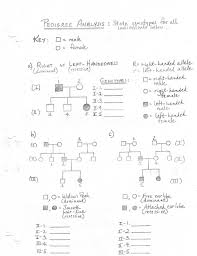Our objective is to understand the principles that govern inheritance in plants and animals, including humans, by solving problems. Monohybrid Mice Worksheet Answer Key Fun Monohybrid Cross Worksheet Dihybrid Cross Worksheet Worksheets Dihybrid Cross
