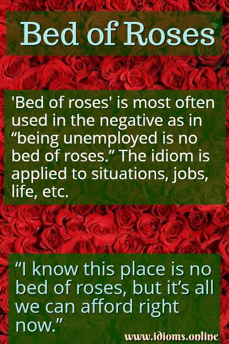 Bed Of Roses | Idioms Online
