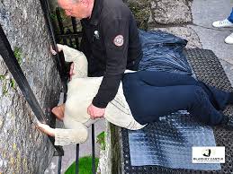 Maybe you would like to learn more about one of these? Kissing The Blarney Stone In Ireland