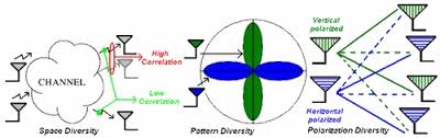 Diversity