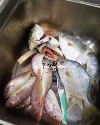 Step 4 dah okay, kita keluarkan ikan dari tumisan tadi (proses ini adalah untuk menggaringkan lagi tumisan kari tadi dan tumisan kena sentiasa dikacau. Resipi Kari Ikan Nyoknyok Sedap Dan Mudah Dengan Rempah Kari Adni Vanilla Freak