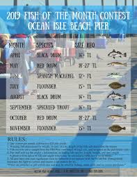 Fish Of The Month Contest Ocean Isle Fishing Pier Ocean