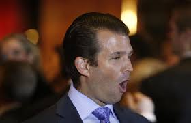 Stupid is as stupid does