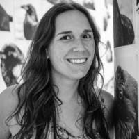 PDF) INVENÇÕES MUSEOLÓGICAS EM EXPOSIÇÃO: MAC DO ZANINI E MASP DO CASAL  BARDI (1960-1970)